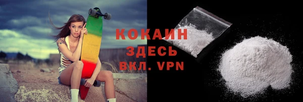 тгк Алексин
