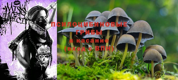 ГАЛЛЮЦИНОГЕННЫЕ ГРИБЫ Алексеевка