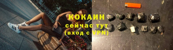 spice Алзамай