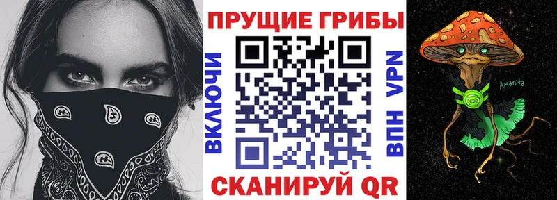 Галлюциногенные грибы GOLDEN TEACHER  Москва 